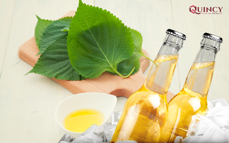 5 cách đắp mặt nạ bằng lá tía tô trị nám hiệu quả 16 Làm mặt nạ bia và lá tía tô - Top 5 cách đắp mặt nạ bằng lá tía tô hiệu quả