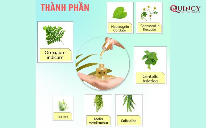 Mụn viêm là gì? Điều trị mụn viêm như thế nào cho hiệu quả? 18 Thành phần có trong serum trị mụn viêm Doctor Care