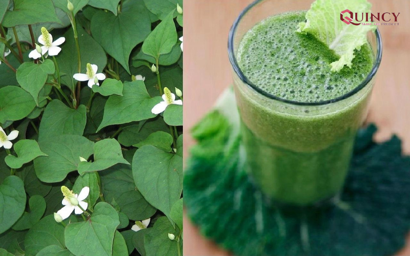 Rau diếp cá trị mụn có được không?