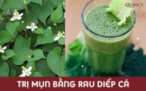 trị mụn bằng rau diếp cá