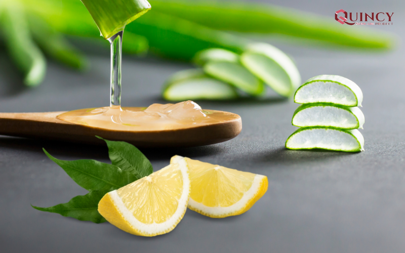 Cách trị mụn hiệu quả tại nhà với nha đam tươi đơn giản và tiết kiệm chi phí 13 Cách trị mụn hiệu quả tại nhà với nha đam tươi kết hợp chanh