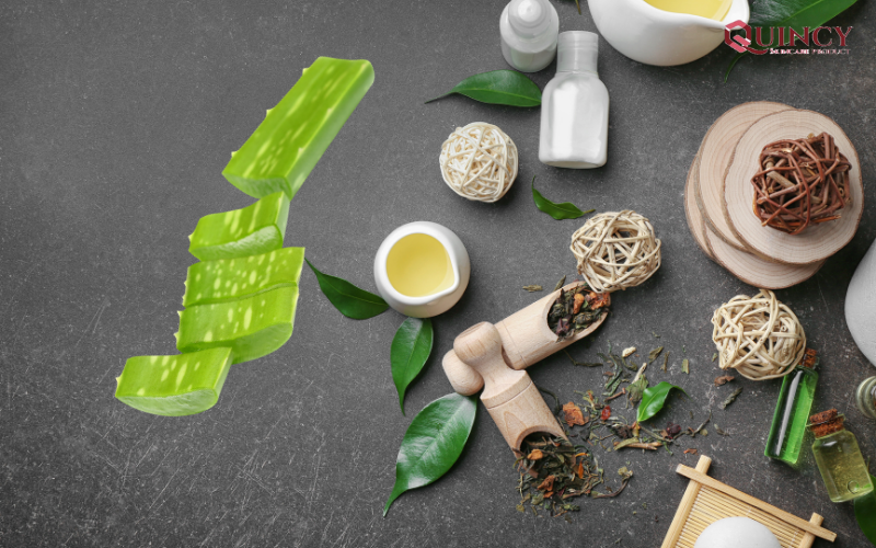 Cách trị mụn hiệu quả tại nhà với nha đam tươi đơn giản và tiết kiệm chi phí 15 Cách trị mụn hiệu quả tại nhà với nha đam tươi kết hợp tinh dầu tràm trà