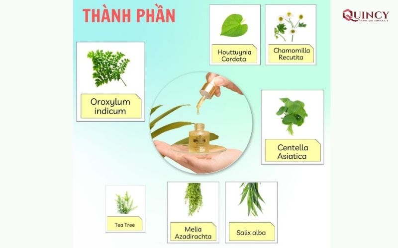 Serum trị mụn Đồng Tháp hiệu quả, giá rẻ, tốt nhất 17 Thành phần có trong serum trị mụn Đồng Tháp Doctor Care