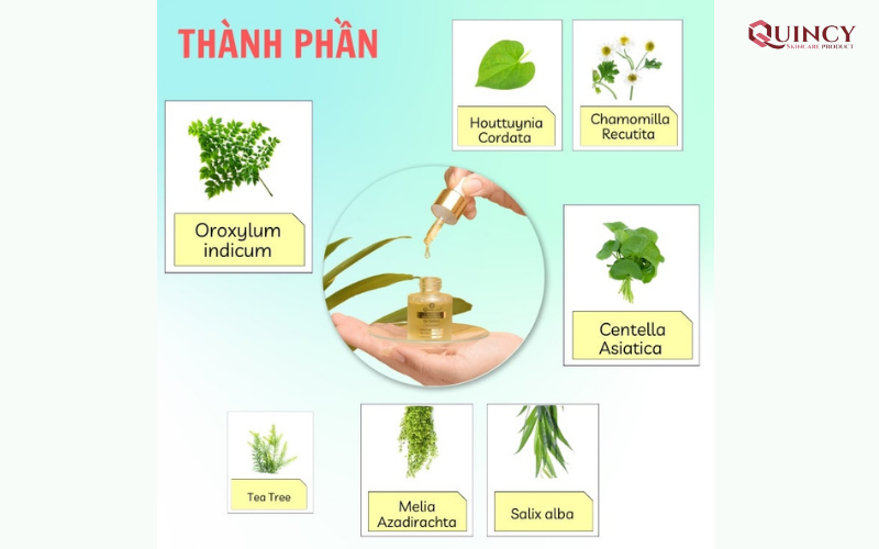 Serum trị mụn Hà Nam phù hợp với mọi loại da, hiệu quả trị mụn tốt 15 Thành phần có trong serum Doctor Care