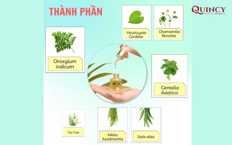 Loại Serum trị mụn Phú Thọ hiệu quả, chất lượng, giá rẻ 17 Bảng thành phần của Serum trị mụn Phú Thọ Doctor Care