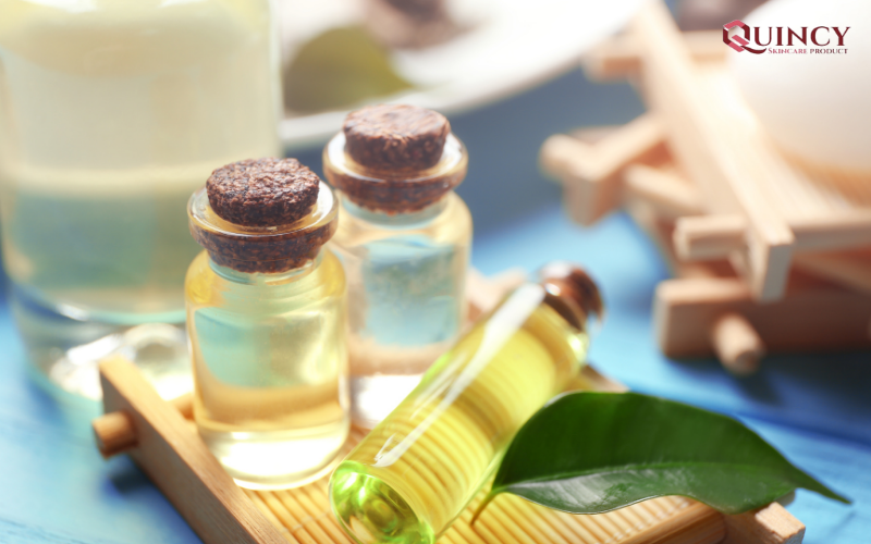 Những cách Trị mụn tại nhà hiệu quả với dầu cây tràm trà vô cùng đơn giản 11 Lợi ích khi sử dụng dầu cây tràm trà để trị mụn