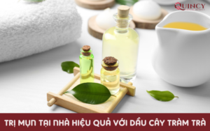 Trị mụn tại nhà hiệu quả với dầu cây tràm trà