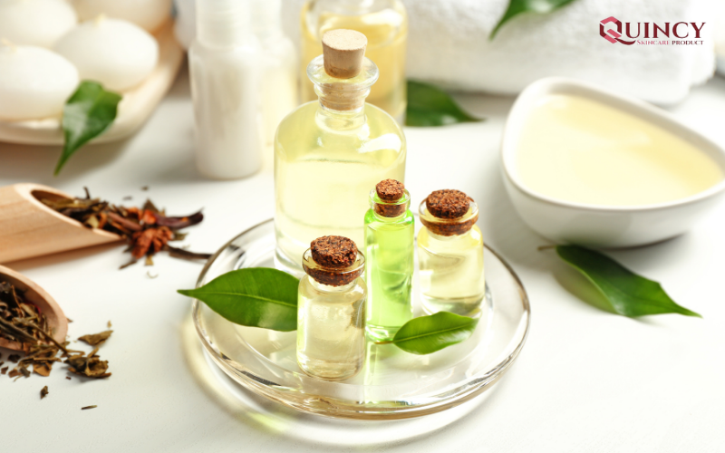 Những cách Trị mụn tại nhà hiệu quả với dầu cây tràm trà vô cùng đơn giản 14 Thoa tinh dầu lên da - Cách Trị mụn tại nhà hiệu quả với dầu cây tràm trà trực tiếp, hiệu quả
