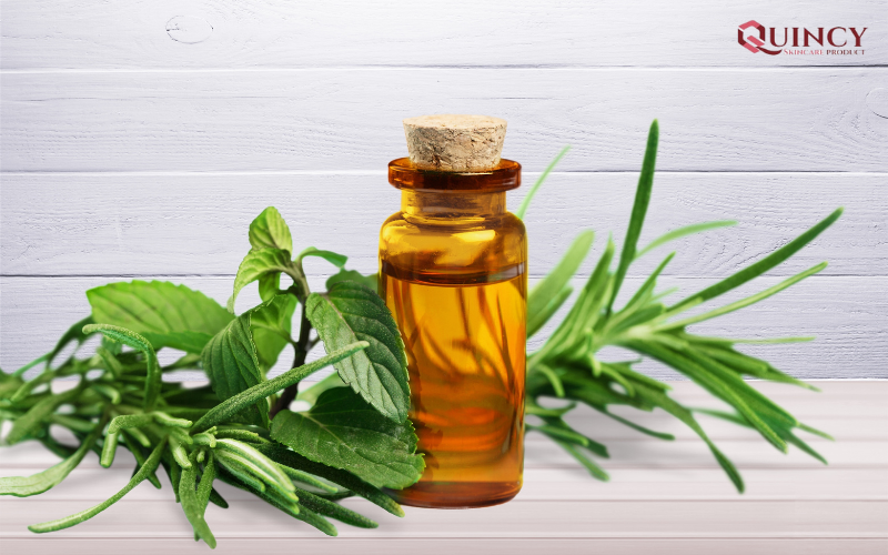 Những cách Trị mụn tại nhà hiệu quả với dầu cây tràm trà vô cùng đơn giản 16 Những trường hợp nào không được thực hiện Trị mụn tại nhà hiệu quả với dầu cây tràm trà