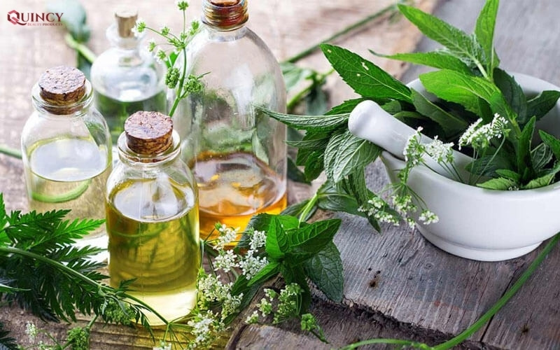 #1 Glyceryl Stearate là gì? Công dụng của Glyceryl Stearate trong làm đẹp 6 Công dụng của Glyceryl Stearate trong làm đẹp