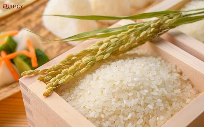 Gạo nấu với sữa tươi mang đi dưỡng da