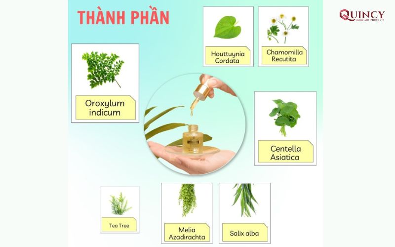 Mụn đầu đen là gì? Tìm hiểu phương pháp trị mụn hiệu quả nhất 16 Serum trị mụn đầu đen Doctor Care có những thành phần nào?