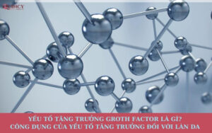 Yếu tố tăng trưởng (Growth Factor) là gì?