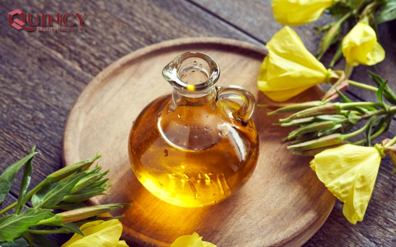 Top 10 tác dụng của tinh dầu hoa anh thảo Úc với sức khỏe 11 Giới thiệu về tinh dầu hoa anh thảo Úc - Tác dụng của tinh dầu hoa anh thảo Úc với sức khỏe