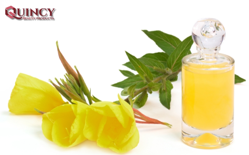 Tác động lên tình trạng tâm lý và sức khỏe tinh thần bằng Tác dụng của tinh dầu hoa anh thảo Úc