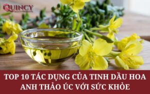 Top 10 tác dụng của tinh dầu hoa anh thảo Úc với sức khỏe