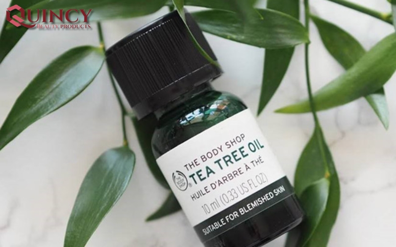 Tea Tree Oil là gì? Định nghĩa, Ứng dụng, Lợi Ích Chăm Sóc Da 19 Lợi ích và hiệu quả của Tea Tree Oil là gì trong chăm sóc da