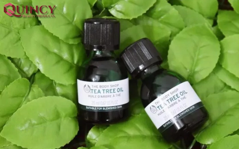Tea Tree Oil là gì? Định nghĩa, Ứng dụng, Lợi Ích Chăm Sóc Da 18 Ứng dụng phổ biến của Tea Tree Oil là gì trong chăm sóc da