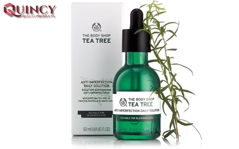 Tea Tree Oil là gì? Định nghĩa, Ứng dụng, Lợi Ích Chăm Sóc Da 15 Các thành phần và tính năng chính của Tea Tree Oil là gì?