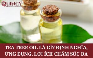 Tea Tree Oil là gì? Định nghĩa, Ứng dụng, Lợi Ích Chăm Sóc Da