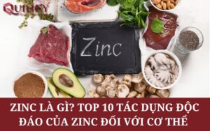 Zinc là gì? Top 10 Tác dụng độc đáo của Zinc đối với cơ thể