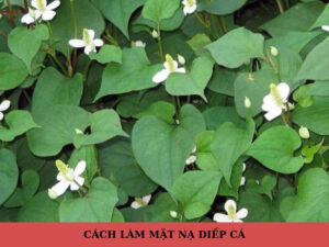 cách làm mặt nạ diếp cá