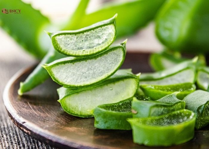 TOP 20 Cách trị mụn tại nhà hiệu quả và an toàn nhất 23 cách trị mụn tại nhà hiệu quả