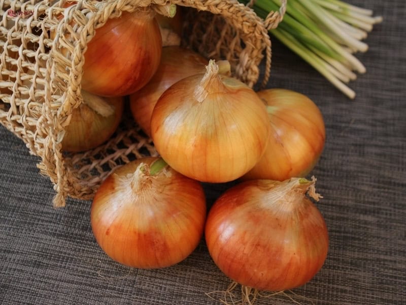 mụn nhọt sưng to đau nhức