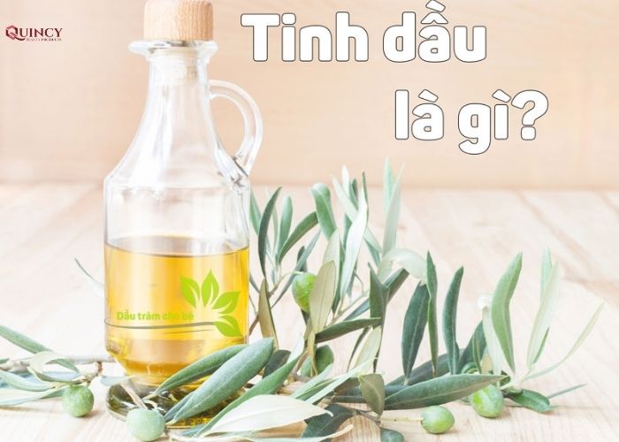 tinh dầu là gì