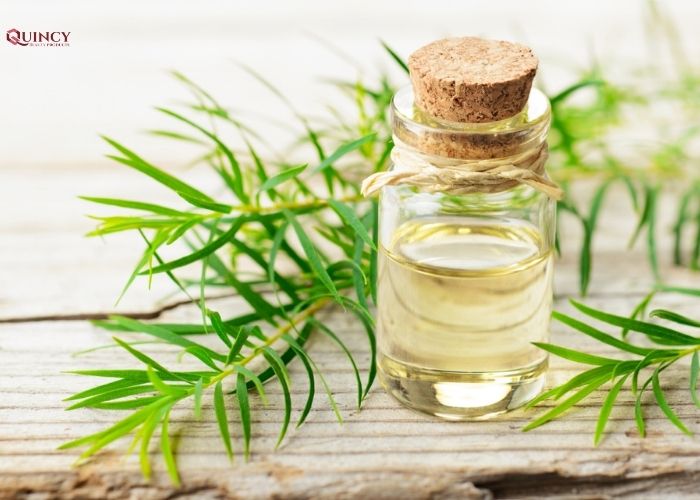10 Cách trị mụn lưng tại nhà hiệu quả từ thiên nhiên 12 cách trị mụn lưng tại nhà