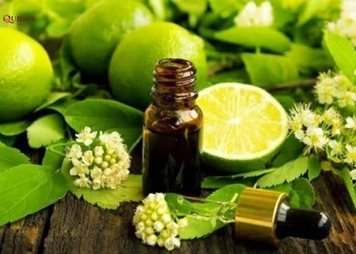 Lợi ích của dầu chanh đối với làn da của bạn 11 lợi ích của dầu chanh