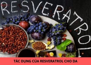 tác dụng của reveratrol cho da