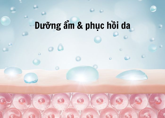 Dưỡng ẩm & phục hồi da